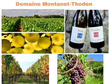 Domaine Montanet-Thoden