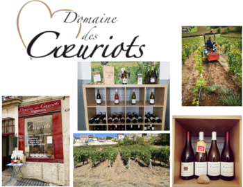 Domaine des Coeuriots